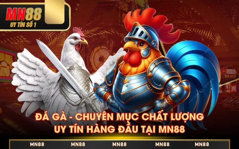 Đá Gà MN88 - Cực Phẩm Giải Trí Cho Dân Chơi Thứ Thiệt