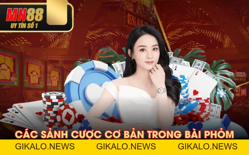 Cách Chơi Bài Phỏm - Tổng Hợp Thông Tin Và Quy Luật Cơ Bản Cách Chơi Bài Phỏm - Tổng Hợp Thông Tin Và Quy Luật Cơ Bản