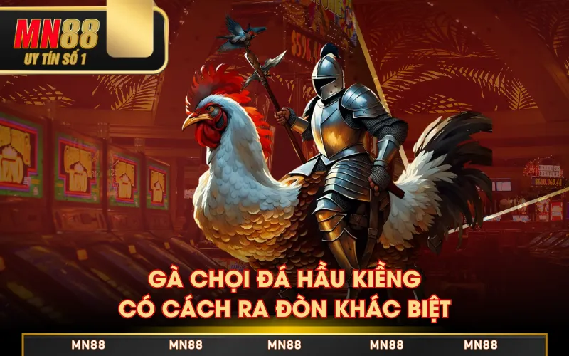 Đặc Điểm Gà Chọi Đá Hầu Kiềng - Hướng Dẫn Cách Huấn Luyện Đặc Điểm Gà Chọi Đá Hầu Kiềng - Hướng Dẫn Cách Huấn Luyện