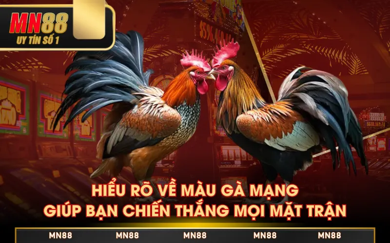 Màu Gà Mạng - Bí Quyết Chọn Chiến Kê Sáng Giá Chuẩn 100% Màu Gà Mạng - Bí Quyết Chọn Chiến Kê Sáng Giá Chuẩn 100%