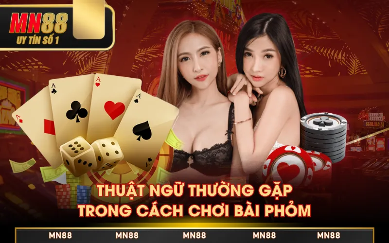 Cách Chơi Bài Phỏm - Tổng Hợp Thông Tin Và Quy Luật Cơ Bản Cách Chơi Bài Phỏm - Tổng Hợp Thông Tin Và Quy Luật Cơ Bản