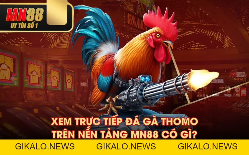Đá Gà MN88 - Cực Phẩm Giải Trí Cho Dân Chơi Thứ Thiệt Đá Gà MN88 - Cực Phẩm Giải Trí Cho Dân Chơi Thứ Thiệt