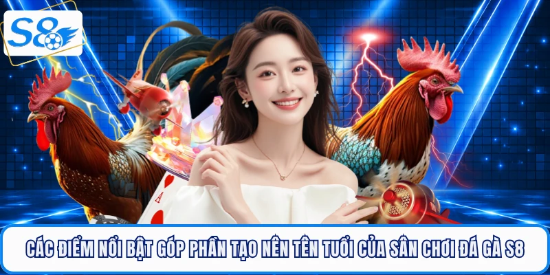 Đá Gà S8 - Sân Chơi Rực Lửa, Thỏa Mãn Đam Mê Cá Cược