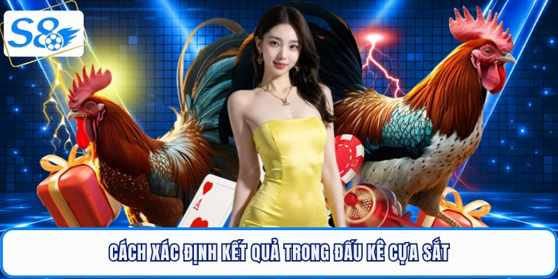Mẹo Đá Gà Cựa Sắt - Bí Quyết Chọn Chiến Kê Thắng Lớn