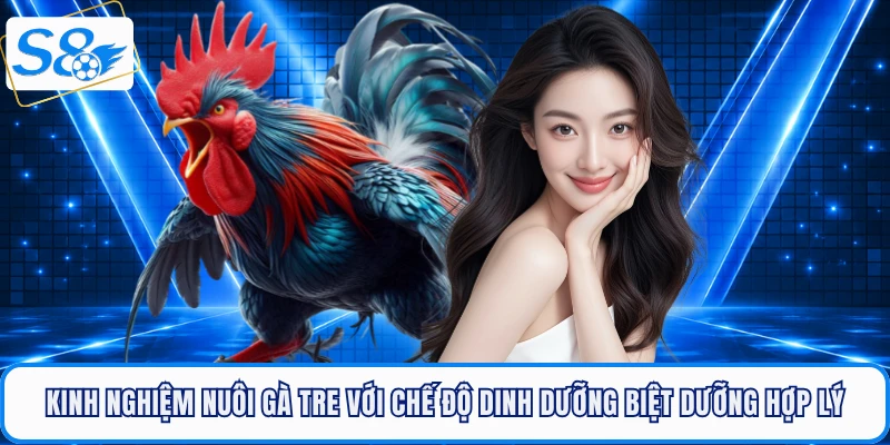 Kinh Nghiệm Nuôi Gà Tre Chinh Phục Mọi Trận Đấu Tại S88