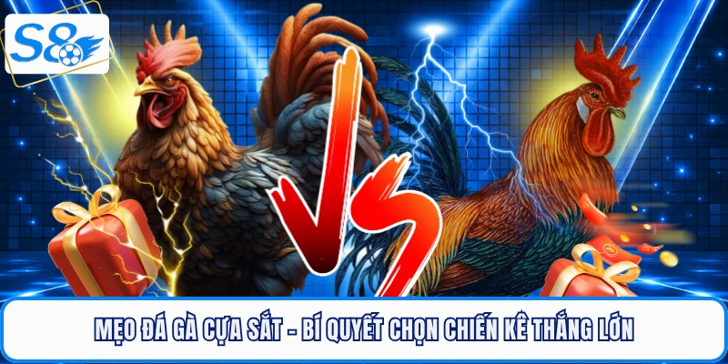 Đá Gà S8 - Sân Chơi Rực Lửa, Thỏa Mãn Đam Mê Cá Cược