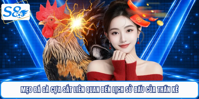 Mẹo Đá Gà Cựa Sắt - Bí Quyết Chọn Chiến Kê Thắng Lớn